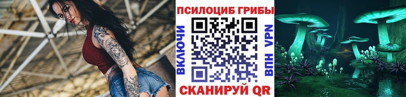 Галлюциногенные грибы Psilocybine cubensis  Липецк 